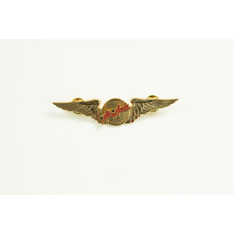 AIR ASIA WING METAL BIG